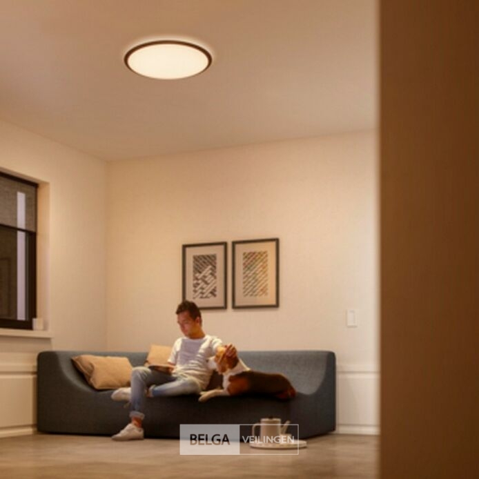 Philips plafonnière Canaval met geïntegreerde LED 1500 Lm 18 W warmwit rond wit – foto 4 – kavel bij Belga Veilingen, Bree