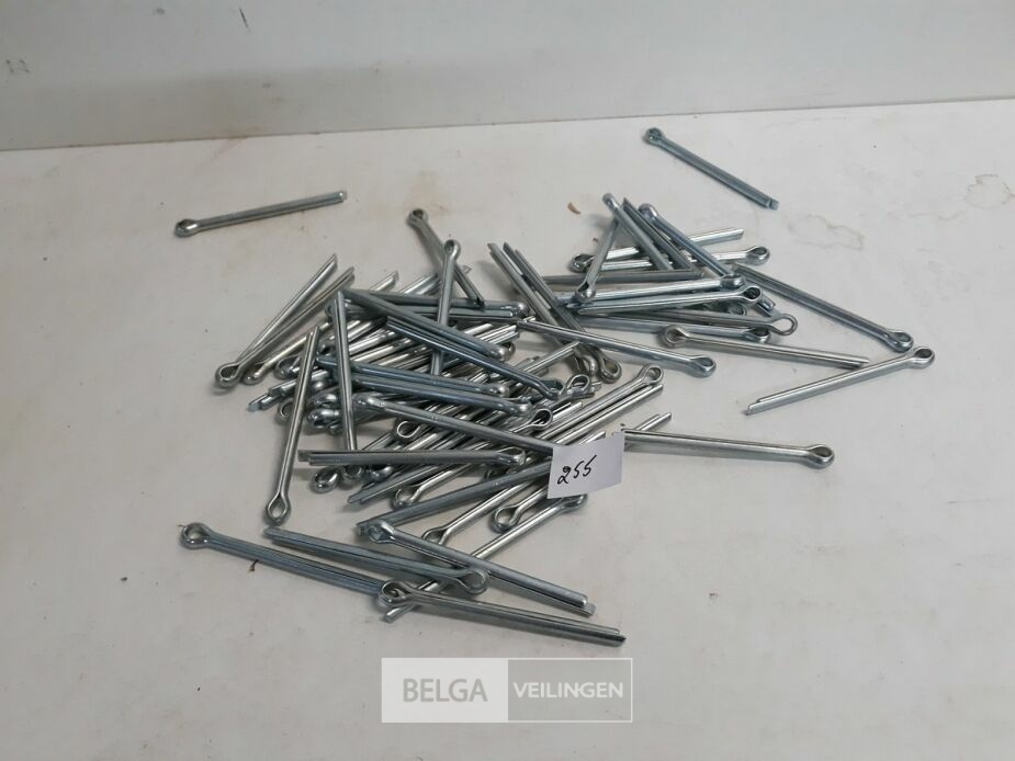 1 x Splitpennen 6,3x80 mm 80 stuks – foto 2 – kavel bij Belga Veilingen, Oudsbergen