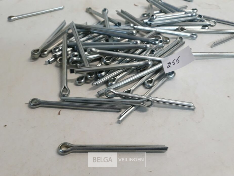 1 x Splitpennen 6,3x80 mm 80 stuks – foto 3 – kavel bij Belga Veilingen, Oudsbergen