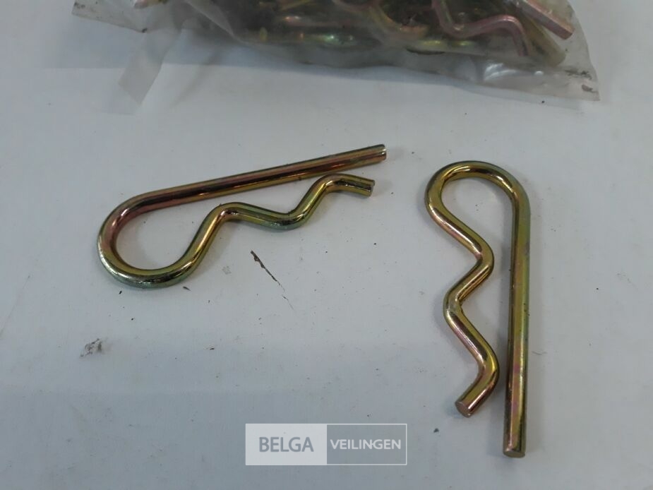 1 x Borgveer 50 stuks R-model 6mm – foto 3 – kavel bij Belga Veilingen, Oudsbergen