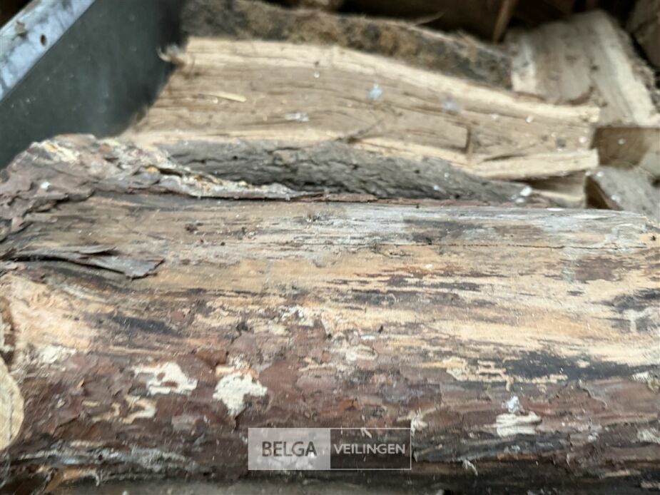1 Palletbox den hout – foto 4 – kavel bij Belga Veilingen, Lummen