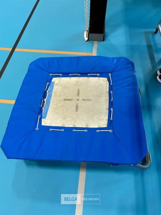 Mini-trampoline – foto 2 – kavel bij Belga Veilingen