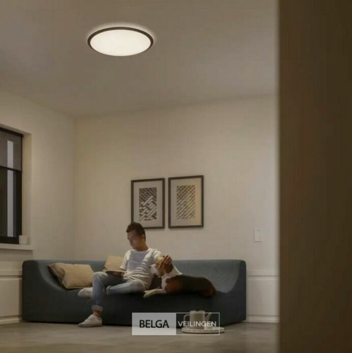 Philips plafonnière Canaval SceneSwitch met geïntegreerde LED 1500 Lm 18 W koudwit – foto 5 – kavel bij Belga Veilingen, Bree