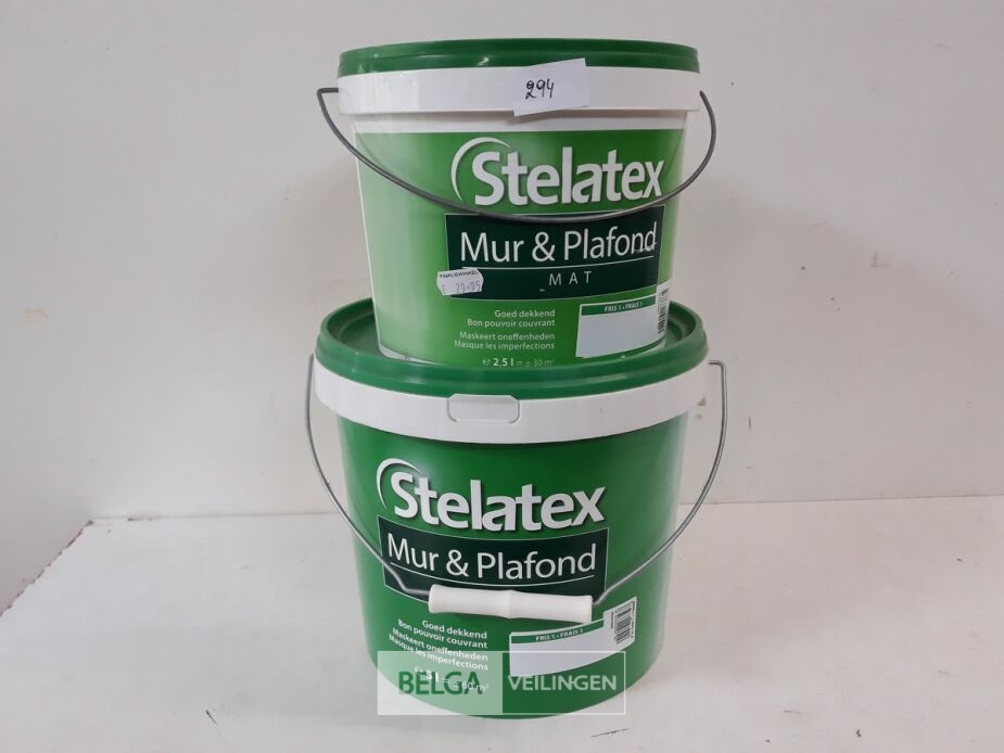 2 x Muur en plafond verf Stelatex 1x2,5L + 1x5L – foto 2 – kavel bij Belga Veilingen, Oudsbergen