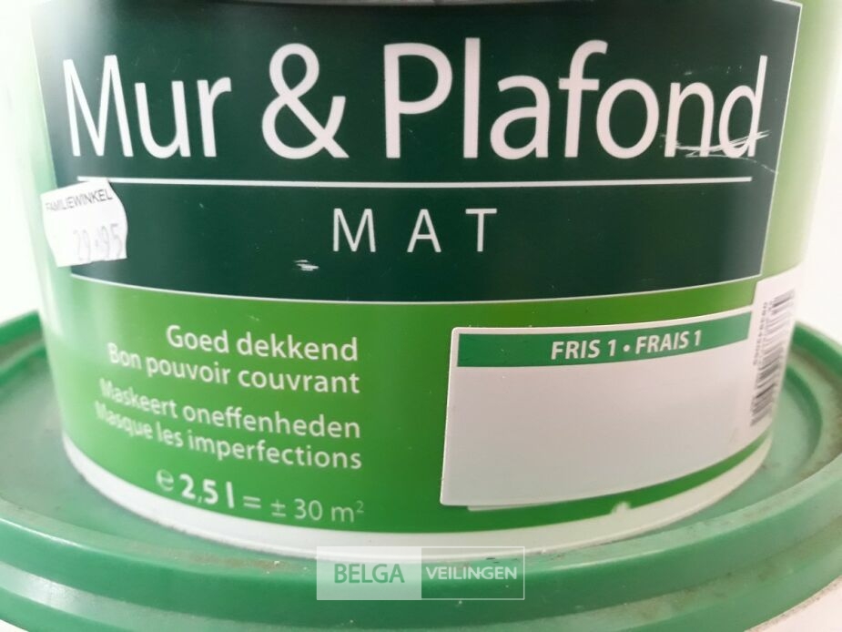 2 x Muur en plafond verf Stelatex 1x2,5L + 1x5L – foto 4 – kavel bij Belga Veilingen, Oudsbergen