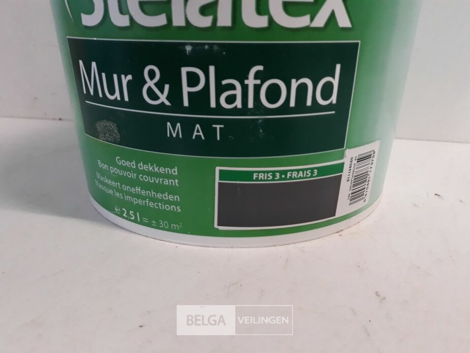 1 x Muur en plafond verf Stelatex 2,5L – foto 3 – kavel bij Belga Veilingen, Oudsbergen