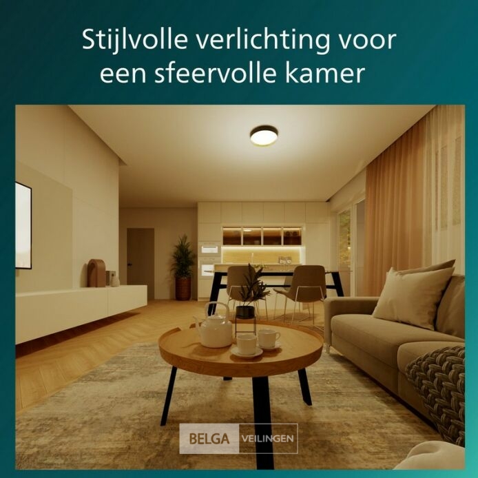 Philips Hanno plafondlamp - SceneSwitch lichttechnologie - 24W - Warmwit licht - Zwart met goud design – foto 4 – kavel bij Belga Veilingen, Bree