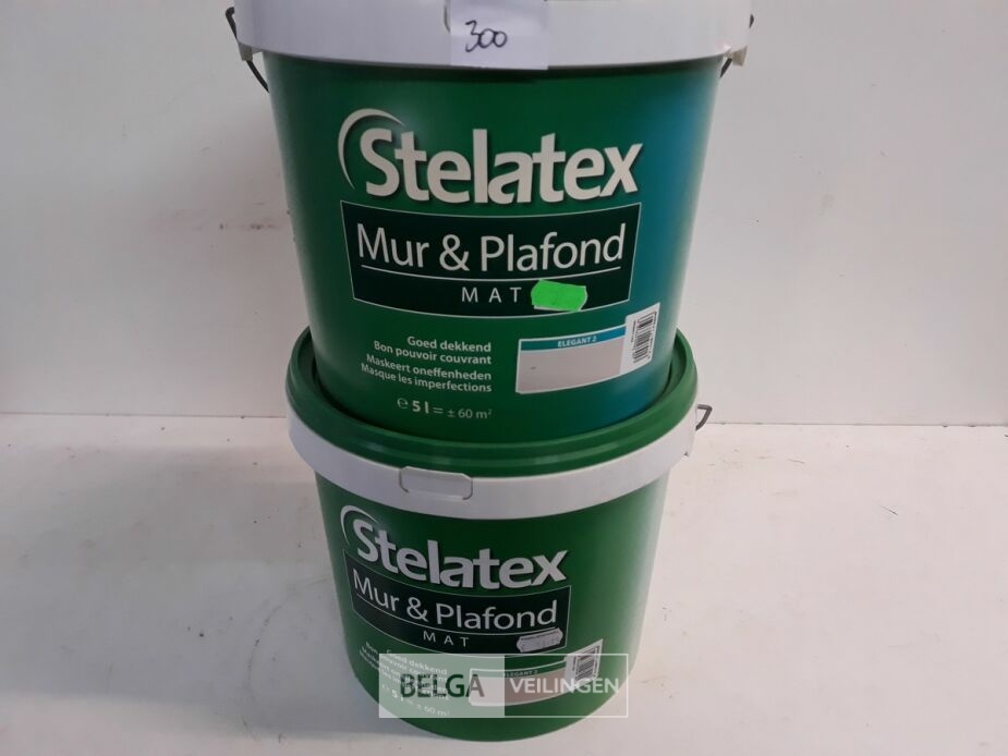 2 x Muur en plafond verf Stelatex 5L – foto 2 – kavel bij Belga Veilingen, Oudsbergen
