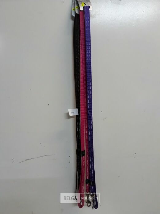3 x Hondenlijn 1,4 M 3 assorti Rogz met fluo strips – foto 2 – kavel bij Belga Veilingen, Oudsbergen