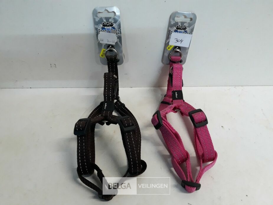 2 x Hondenharnas 27-38 cm Rogz met fluo strips – foto 2 – kavel bij Belga Veilingen, Oudsbergen