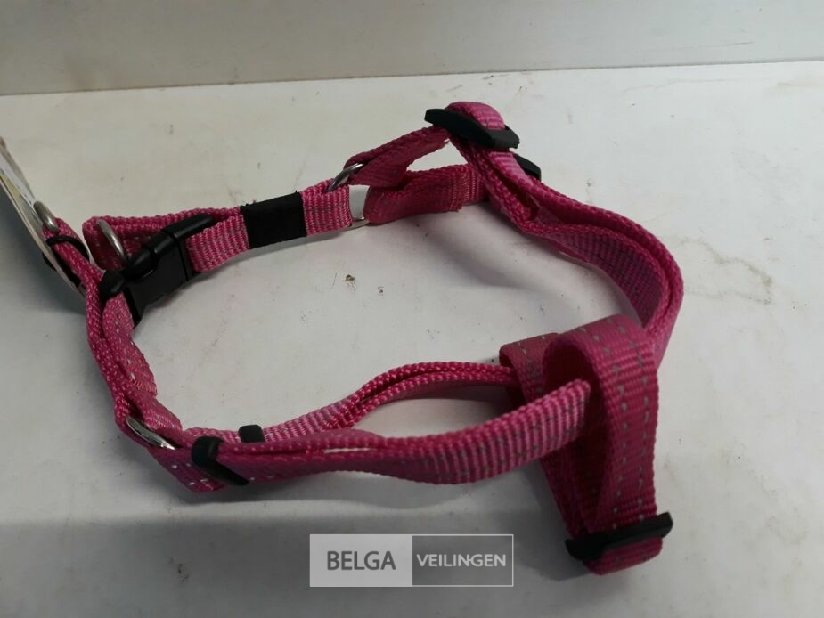 2 x Hondenharnas 27-38 cm Rogz met fluo strips – foto 3 – kavel bij Belga Veilingen, Oudsbergen