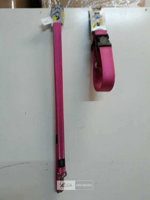 1 x Hondenlijn 1,4M + halsband 50 cm roze Rogz met fluo strip – foto 2 – kavel bij Belga Veilingen, Oudsbergen