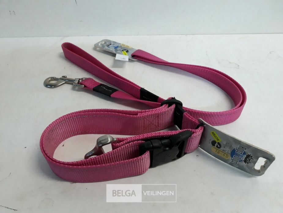 1 x Hondenlijn 1,4M + halsband 50 cm roze Rogz met fluo strip – foto 3 – kavel bij Belga Veilingen, Oudsbergen