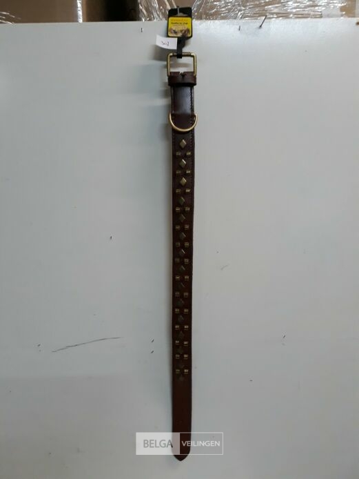 1 x Hondenhalsband leer bruin 75 cm 40 mm – foto 2 – kavel bij Belga Veilingen, Oudsbergen
