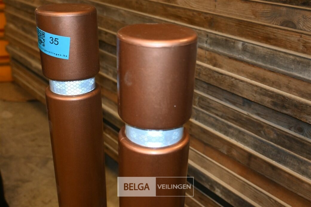 ± 7 Bruine paaltjes – foto 4 – kavel bij Belga Veilingen