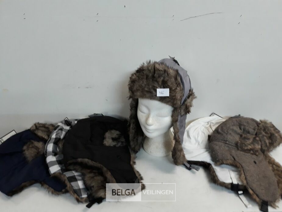 6 x Wintermuts Boris mix kleuren – foto 2 – kavel bij Belga Veilingen, Oudsbergen