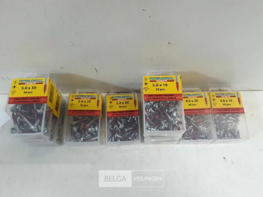 10 x Houtschroeven in blister ronde kop red-tip mix – foto 3 – kavel bij Belga Veilingen, Oudsbergen