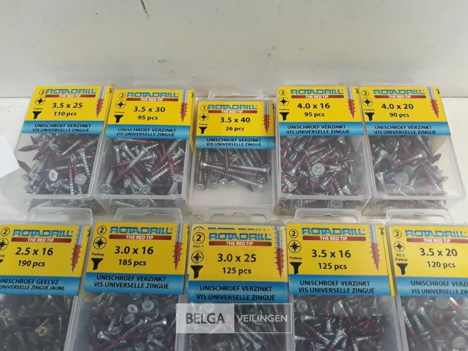 10 x Houtschroeven in blister verzonken kop red-tip mix – foto 3 – kavel bij Belga Veilingen, Oudsbergen