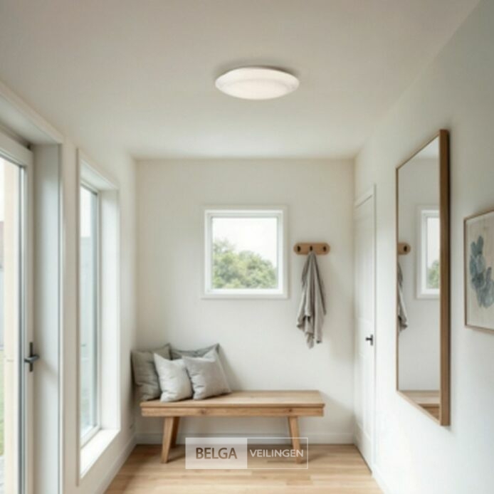 Philips Cinnabar plafondlamp rond met geïntegreerde LED 6W Ø25 cm – foto 4 – kavel bij Belga Veilingen, Bree