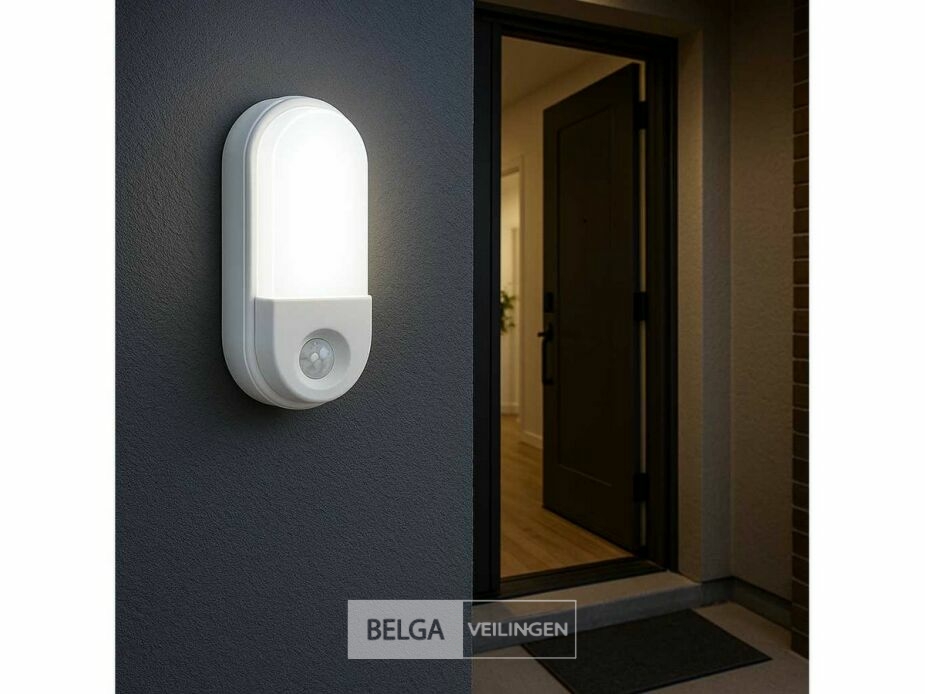 4 x LED Plafondlamp met Sensor – Ovaal – 15W – 6500K Koud Wit – foto 2 – kavel bij Belga Veilingen