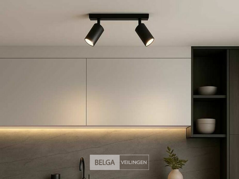 4 x GU10 Opbouwspot Armatuur – 2 Draaibare Spots – IP20 – Zwart – foto 2 – kavel bij Belga Veilingen