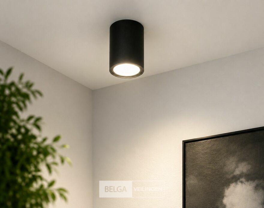 10 x LED Opbouw Spot 5W – 4200K Neutraal Wit - Zwart – IP20 – SANDRA-5/XL – foto 6 – kavel bij Belga Veilingen