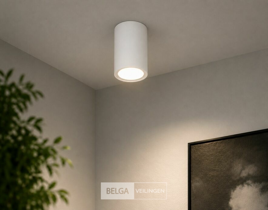 10 x LED Opbouw Spot 5W – 4200K Neutraal Wit - Wit – IP20 – SANDRA-5/XL – foto 2 – kavel bij Belga Veilingen