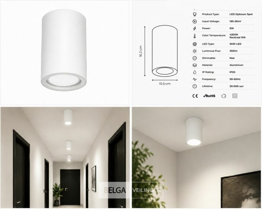 10 x LED Opbouw Spot 5W – 4200K Neutraal Wit - Wit – IP20 – SANDRA-5/XL – foto 3 – kavel bij Belga Veilingen