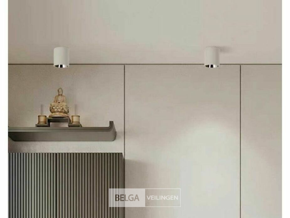 10 x Downlight Fitting – Opbouwarmatuur – GU10 – Cilindrisch – Wit/Bruin – foto 2 – kavel bij Belga Veilingen