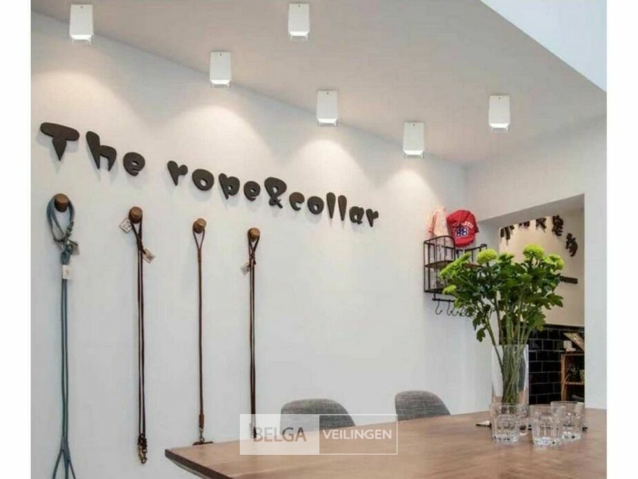 10 x Downlight Fitting – Opbouwarmatuur – GU10 – Cilindrisch – Wit/Chroom – foto 2 – kavel bij Belga Veilingen