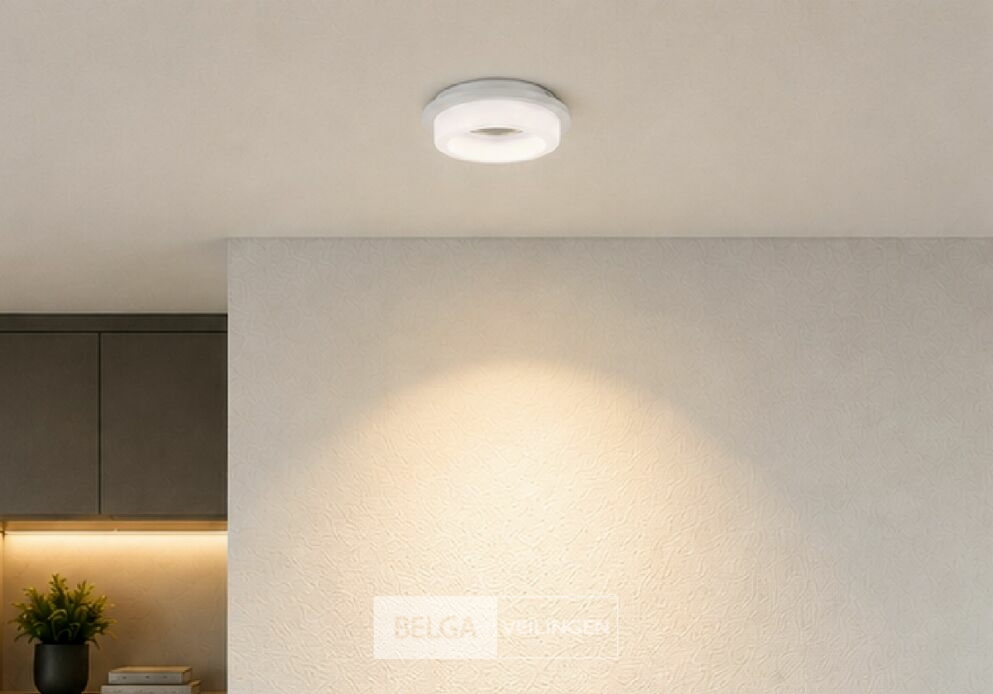 25 x Downlight Fitting – GU10 – Wit – Ø70mm – IP20 – KADIFE – foto 4 – kavel bij Belga Veilingen