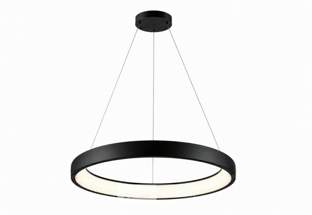 LED Ring Hanglamp 30W – 4000K Neutraal Wit - Zwart – IP20 – ESSENCE-30 – foto 3 – kavel bij Belga Veilingen