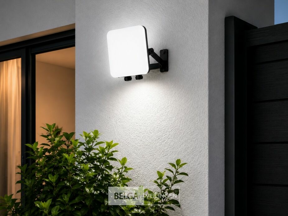 10 x LED Frameless Floodlight 30W – 6400K Koud Wit – IP66 – PEGASUS-30 – foto 2 – kavel bij Belga Veilingen
