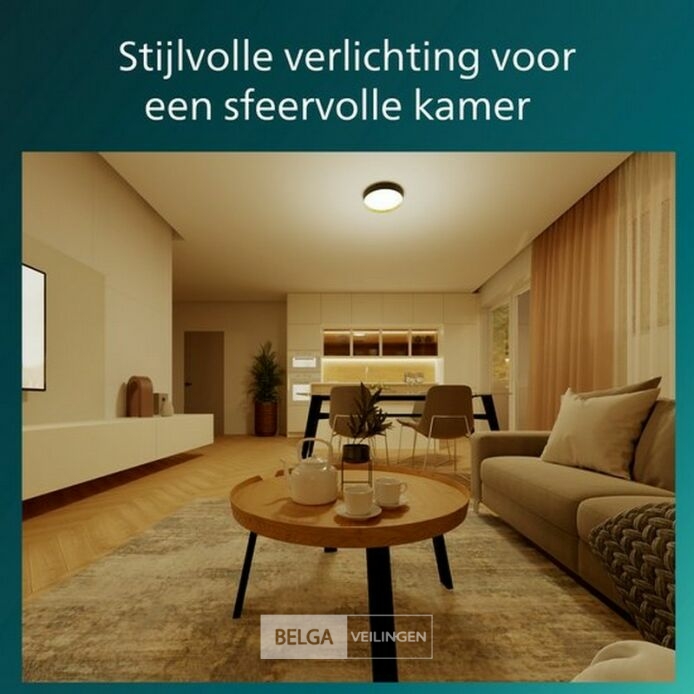 Philips Hanno plafondlamp - SceneSwitch lichttechnologie - 24W - Warmwit licht - Zwart met goud design – foto 4 – kavel bij Belga Veilingen, Bree
