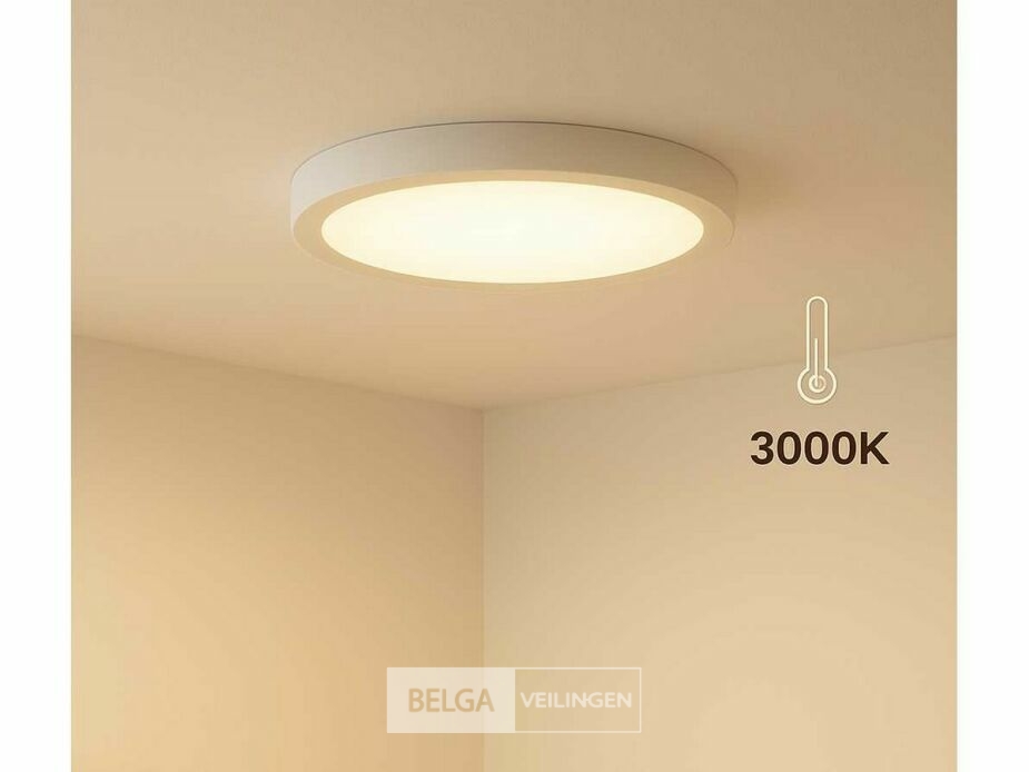 10 x LED Paneel – Rond Opbouw – 30W – 3000K Warm Wit – IP20 – foto 2 – kavel bij Belga Veilingen