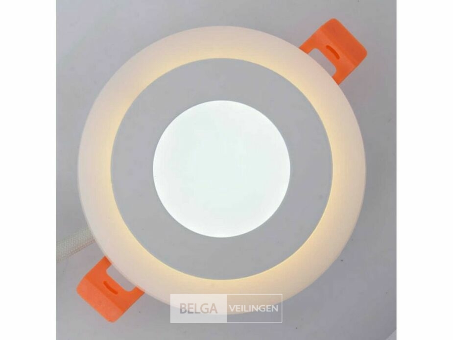 25 x LED Paneel – Warm Wit / Koud Wit – 6W (3W + 3W) – Aan/Uit – foto 2 – kavel bij Belga Veilingen