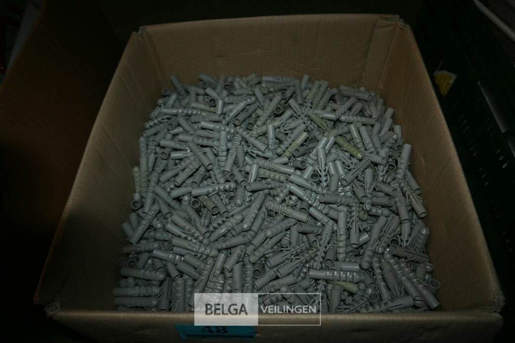 1 Doos pluggen – foto 2 – kavel bij Belga Veilingen, Lummen