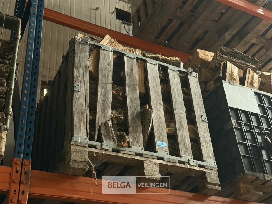 1 Palletbox hard hout – foto 3 – kavel bij Belga Veilingen, Lummen