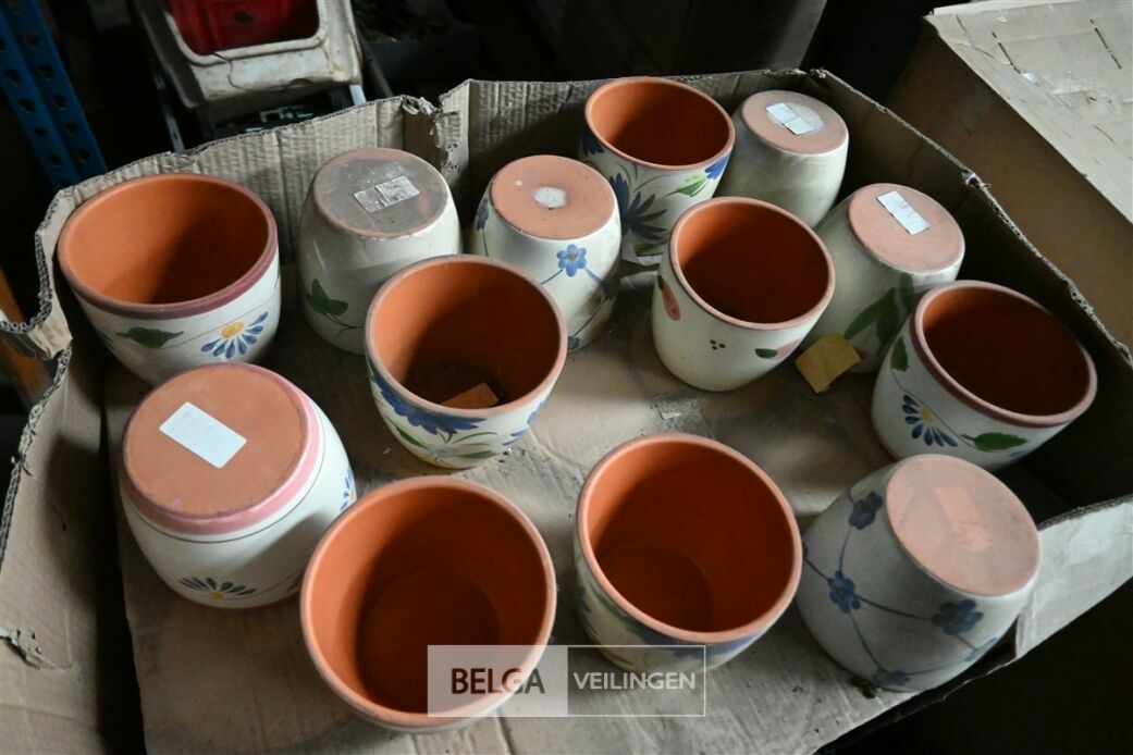 ± 50 Diverse bloempotten – foto 4 – kavel bij Belga Veilingen, Lummen