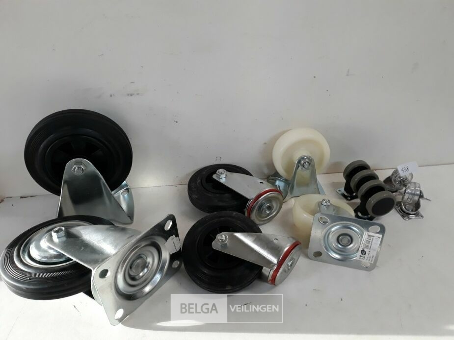 10 x Zwenk-bok wielen mix – foto 2 – kavel bij Belga Veilingen, Oudsbergen