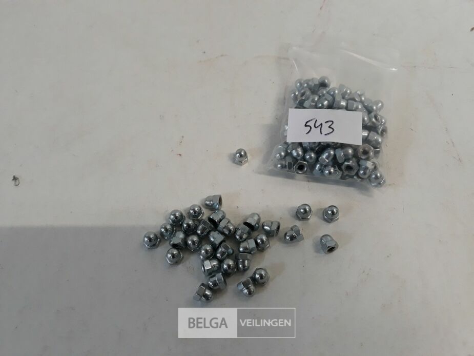 1 x Dopmoer verzinkt M 4 100 stuks – foto 2 – kavel bij Belga Veilingen, Oudsbergen