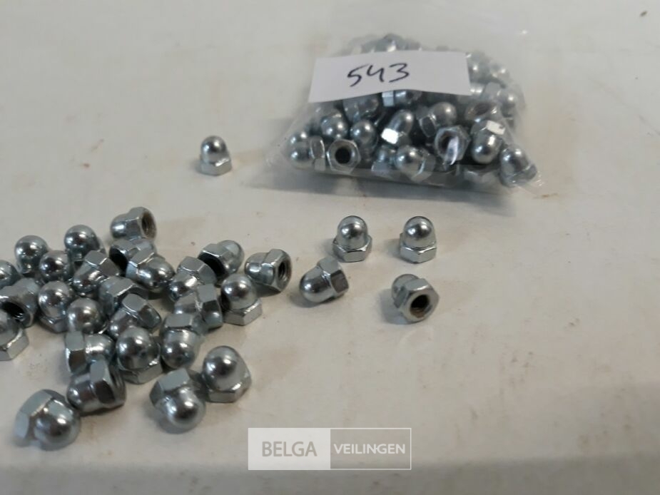 1 x Dopmoer verzinkt M 4 100 stuks – foto 4 – kavel bij Belga Veilingen, Oudsbergen
