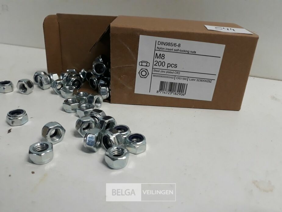 1 x Zeskant borgmoer verzinkt M 8 200 stuks – foto 3 – kavel bij Belga Veilingen, Oudsbergen