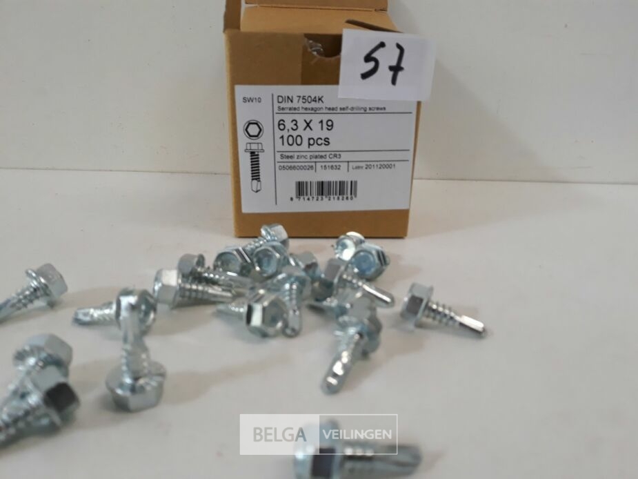 1 x Boorschroef zeskant 6,3x19 mm 100 stuks – foto 3 – kavel bij Belga Veilingen, Oudsbergen