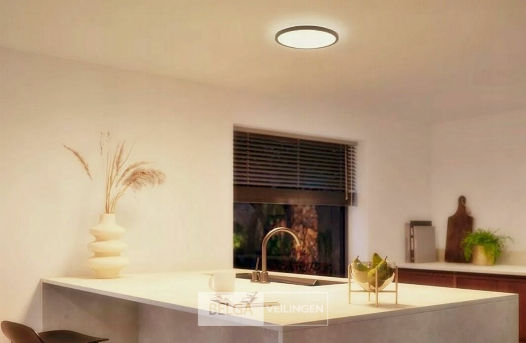 Philips Moire plafondverlichting, 10W, 25cm, 1000 lumen, 3000k, IP44 – foto 4 – kavel bij Belga Veilingen, Bree
