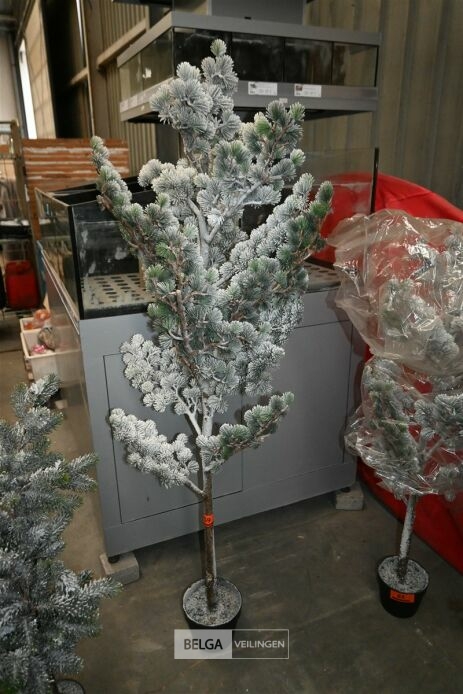 1x Kerstboom – foto 2 – kavel bij Belga Veilingen, Lummen
