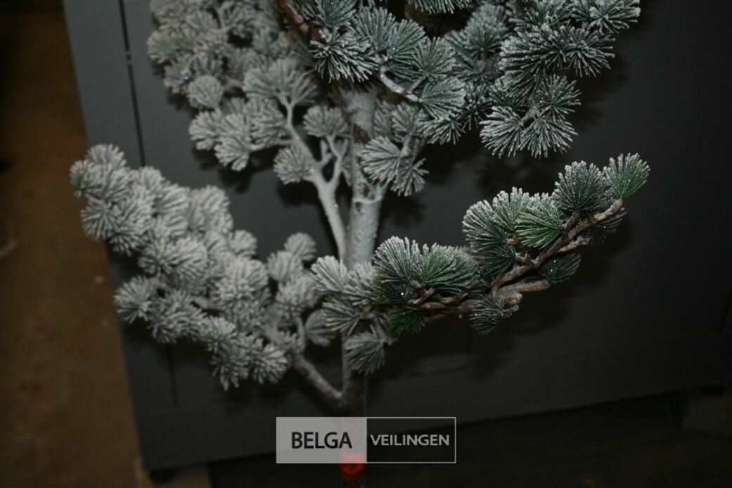 1x Kerstboom – foto 4 – kavel bij Belga Veilingen, Lummen