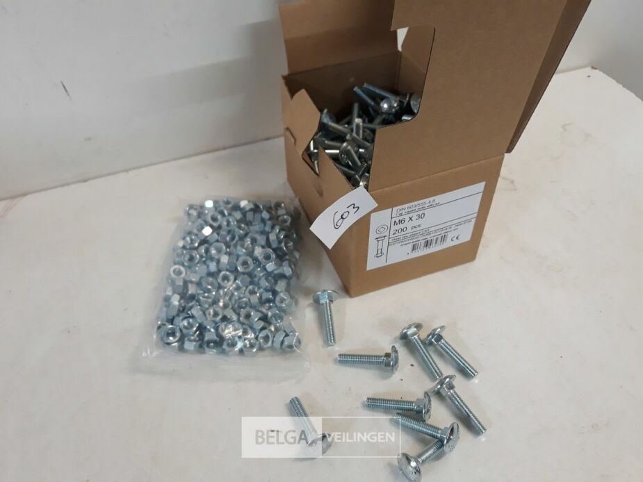 1 x Houtbout met moer verzinkt M 6 x 30 mm 200 stuks – foto 2 – kavel bij Belga Veilingen, Oudsbergen