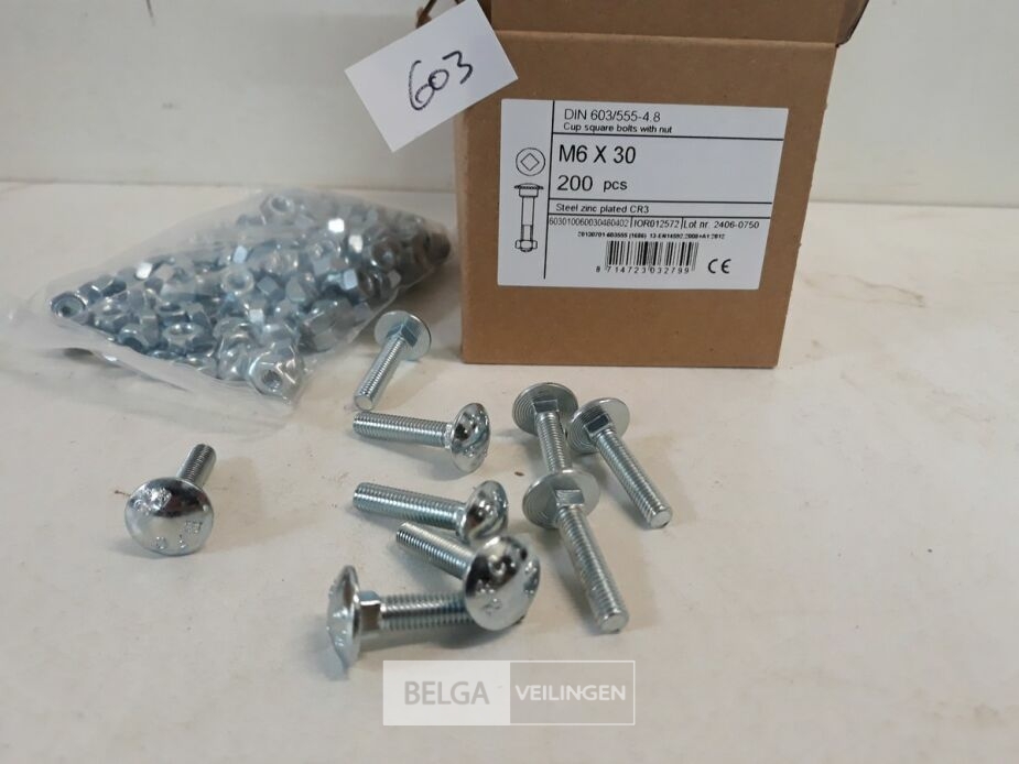 1 x Houtbout met moer verzinkt M 6 x 30 mm 200 stuks – foto 3 – kavel bij Belga Veilingen, Oudsbergen