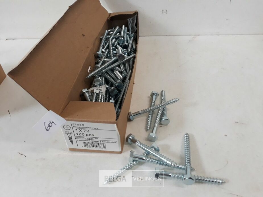 1 x Houtdraadbout verzinkt 7 x 70 mm 100 stuks – foto 2 – kavel bij Belga Veilingen, Oudsbergen